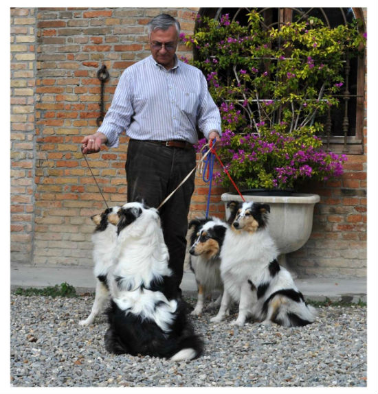 L. Rocco with M.P Bordone`s harlequin puppies - 2012